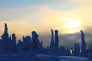 Снегоходный тур в Карелии